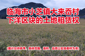 临海市小芝镇大来岙村下洋区块的土地租赁权